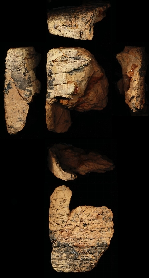N1564