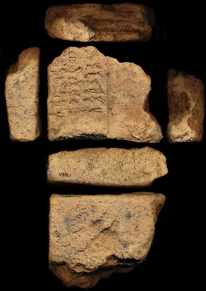 N3951