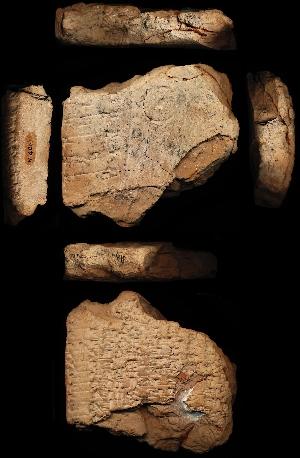 N4041