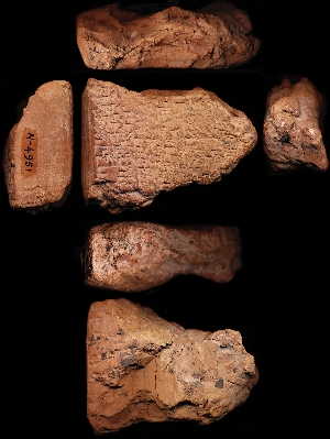 N4951