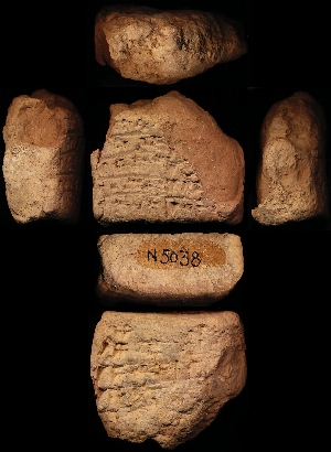 N5038