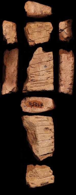 N5064