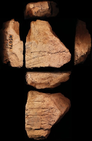 N5071