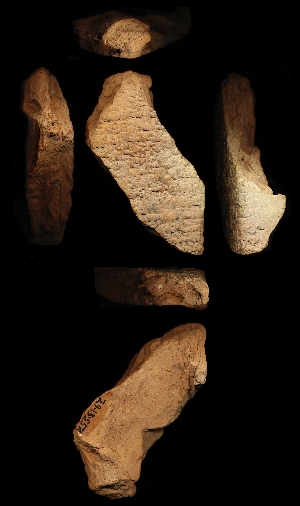 29-13-552