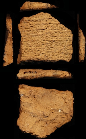 N1326