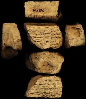 N3176