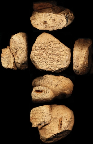 N3234