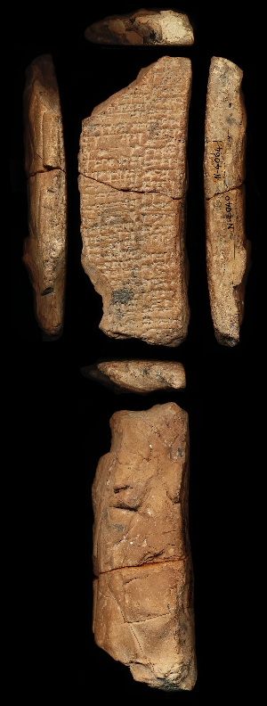 N4040