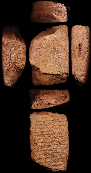 N5090