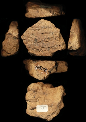 N5198
