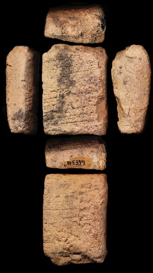 N5334