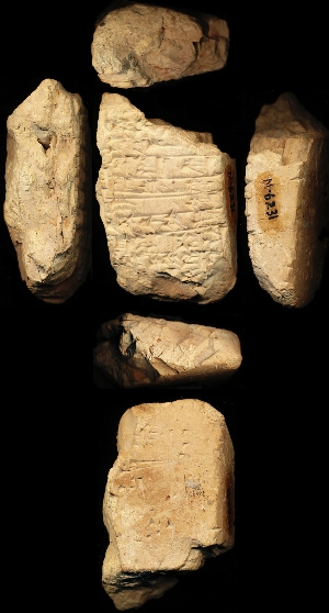 N6231