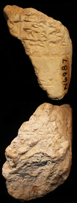 N6987