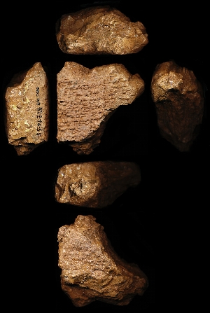 55-21-328