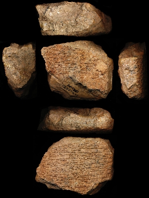 55-21-441