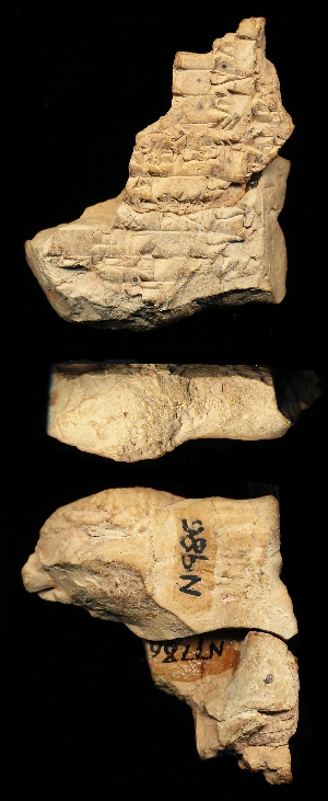N986