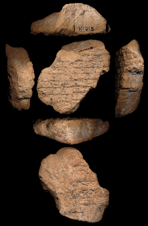 N1318