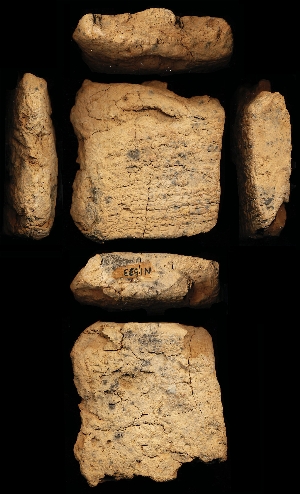N1533