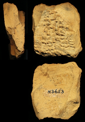 N3653