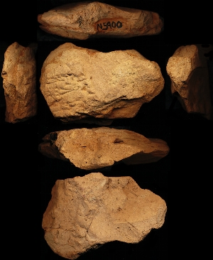 N5900