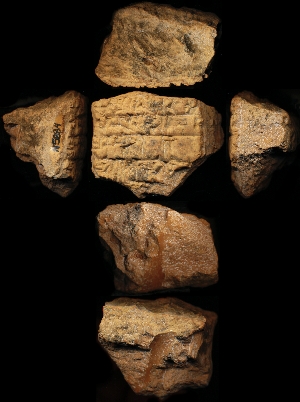 N5884