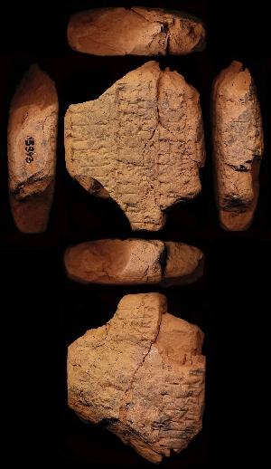 N5393