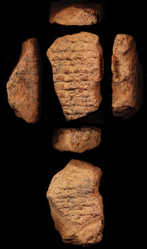 N5568