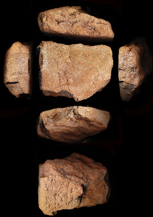 N5598