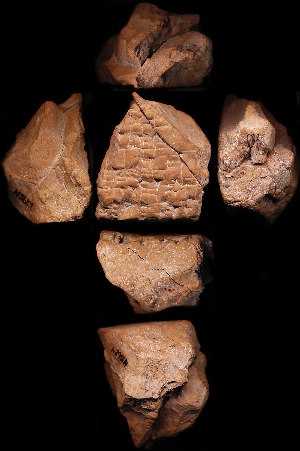 N5624