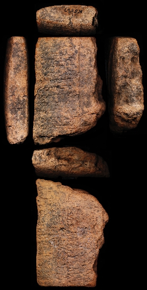 N5551