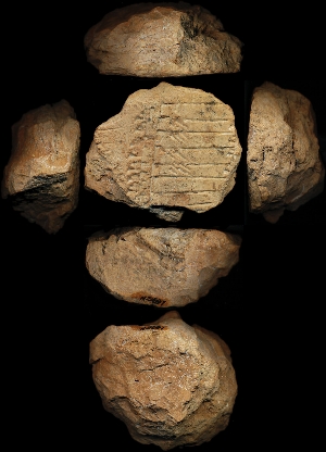 N5697