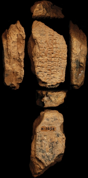 N5698