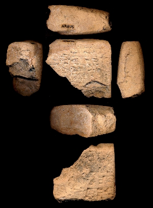 N5855