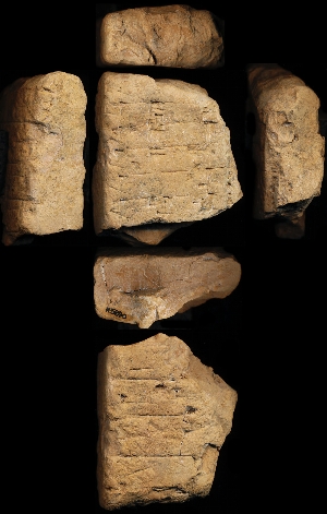 N5890