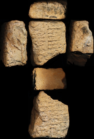 N5906