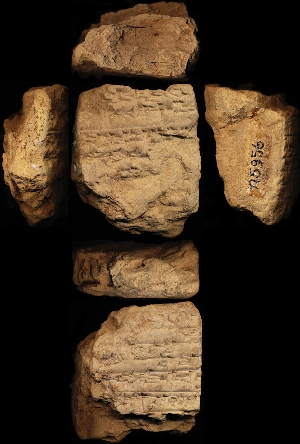 N5956