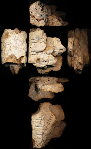 N5999