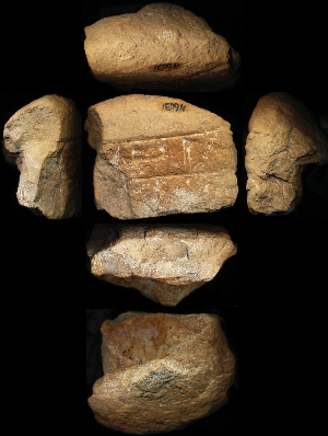 N6031