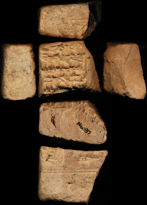 N6037