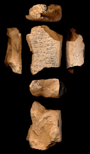 N6046