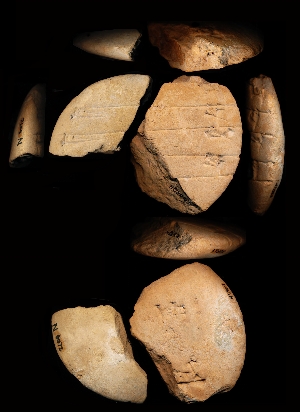 N5924