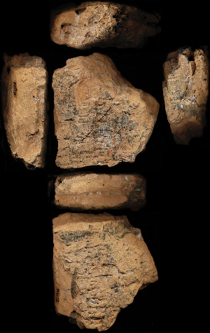 N6102