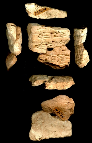 N7178