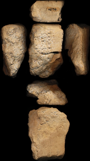 N6136