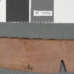 768509
