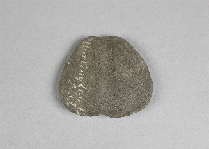 81