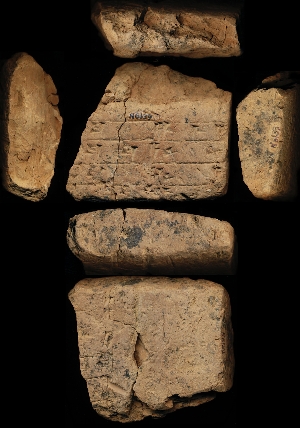 N6139