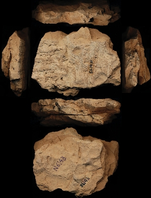 N6143