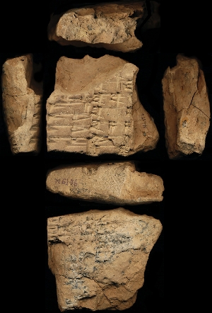 N6156