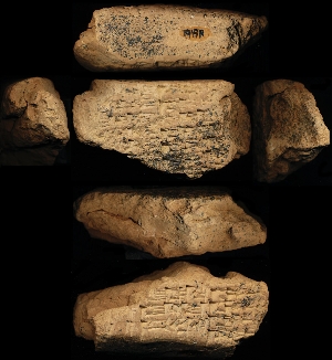 N6161